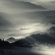Illustration for article titled Forests, fog and light make these long-exposure photographs look like paintings